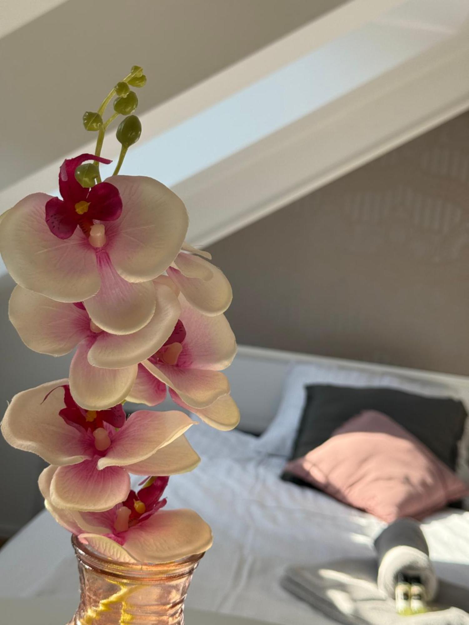 Cozy Apartamento Liubliana